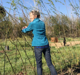 Sylvie Bourgeois Harel à l'Oasis Esperanza de Grimaud